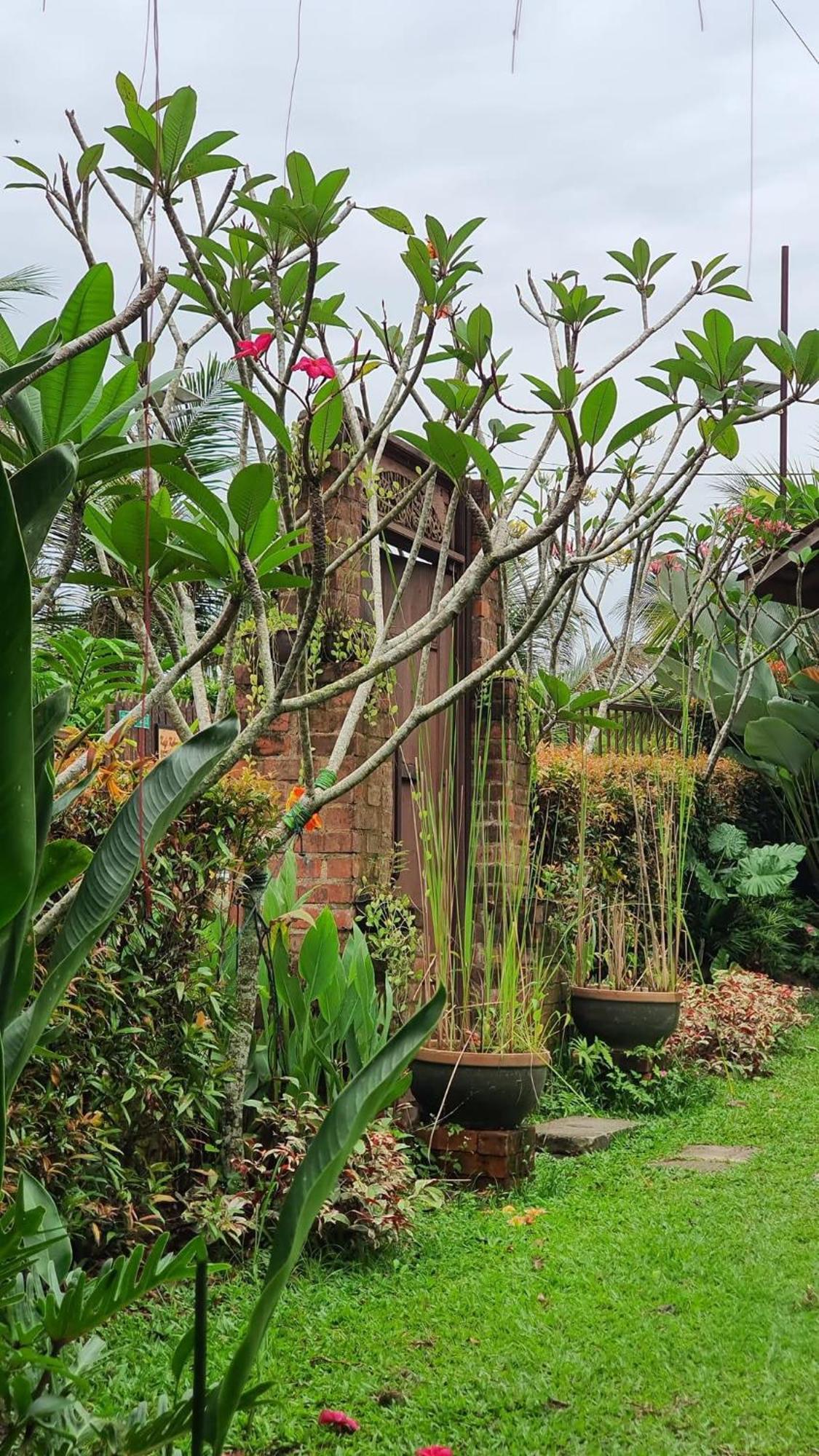 Kebun Puisi Villa Kajang Exterior foto